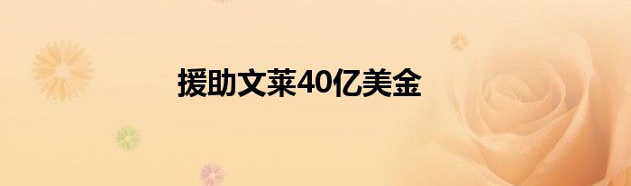 援助文莱40亿美金