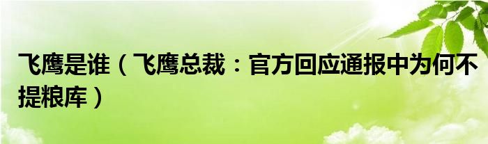 飞鹰是谁（飞鹰总裁：官方回应通报中为何不提粮库）