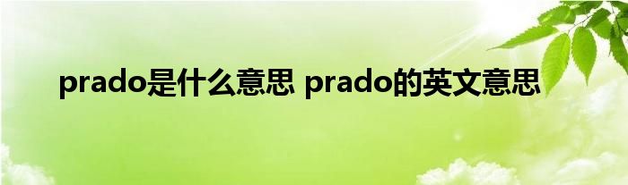 prado是什么意思 prado的英文意思