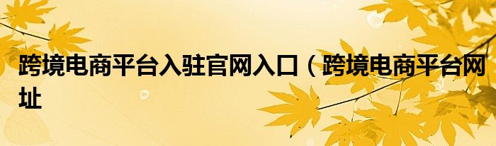 跨境电商平台入驻官网入口（跨境电商平台网址