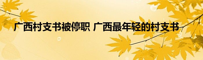 广西村支书被停职 广西最年轻的村支书