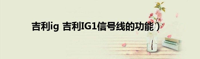 吉利ig 吉利IG1信号线的功能）