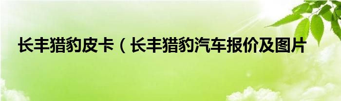 长丰猎豹皮卡（长丰猎豹汽车报价及图片