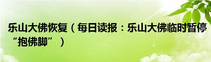 乐山大佛恢复（每日读报：乐山大佛临时暂停“抱佛脚”）