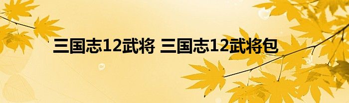 三国志12武将 三国志12武将包