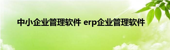 中小企业管理软件 erp企业管理软件