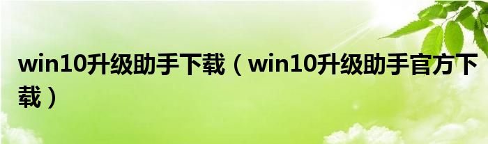 win10升级助手下载（win10升级助手官方下载）