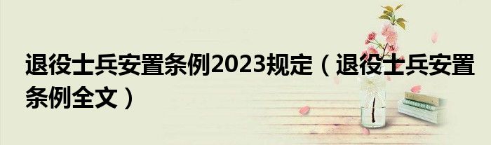 退役士兵安置条例2023规定（退役士兵安置条例全文）