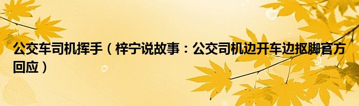 公交车司机挥手（梓宁说故事：公交司机边开车边抠脚官方回应）