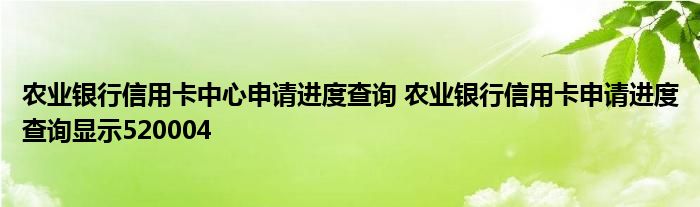 农业银行信用卡中心申请进度查询 农业银行信用卡申请进度查询显示520004