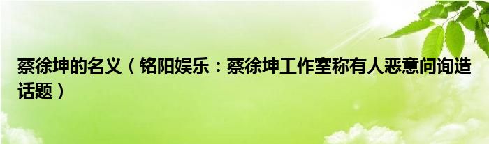 蔡徐坤的名义（铭阳娱乐：蔡徐坤工作室称有人恶意问询造话题）