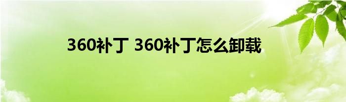 360补丁 360补丁怎么卸载