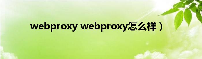 webproxy webproxy怎么样）