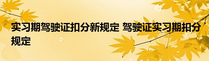 实习期驾驶证扣分新规定 驾驶证实习期扣分规定