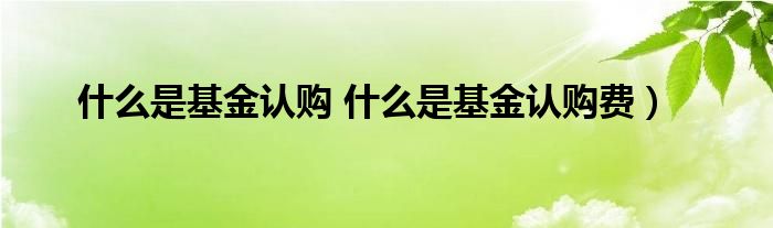 什么是基金认购 什么是基金认购费）