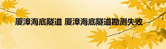 厦漳海底隧道 厦漳海底隧道勘测失败