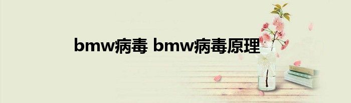 bmw病毒 bmw病毒原理