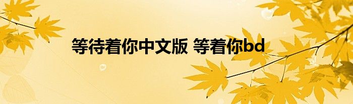 等待着你中文版 等着你bd