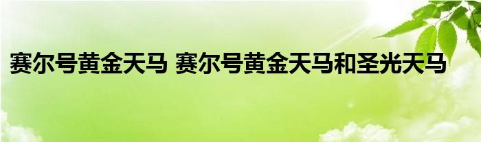 赛尔号黄金天马 赛尔号黄金天马和圣光天马