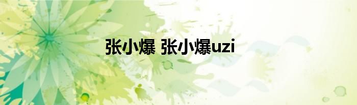 张小爆 张小爆uzi