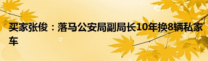 买家张俊：落马公安局副局长10年换8辆私家车