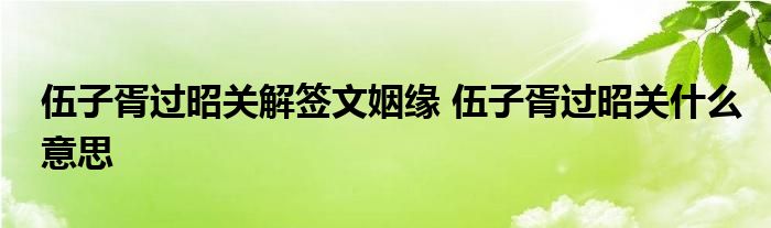 伍子胥过昭关解签文姻缘 伍子胥过昭关什么意思