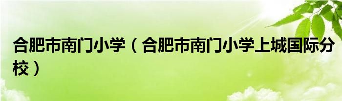 合肥市南门小学（合肥市南门小学上城国际分校）