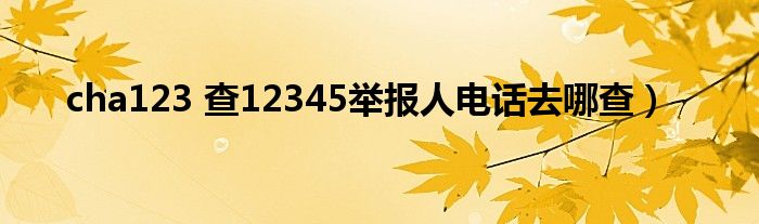 cha123 查12345举报人电话去哪查）