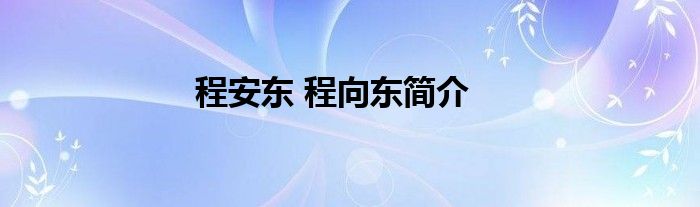 程安东 程向东简介