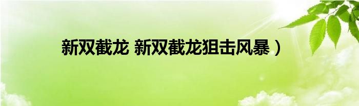 新双截龙 新双截龙狙击风暴）