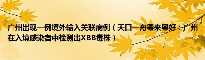 广州出现一例境外输入关联病例（天口一舟粤来粤好：广州在入境感染者中检测出XBB毒株）