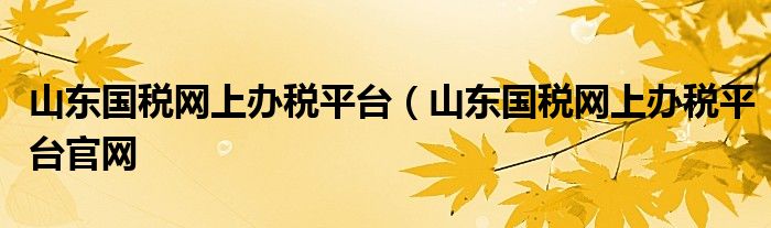 山东国税网上办税平台（山东国税网上办税平台官网