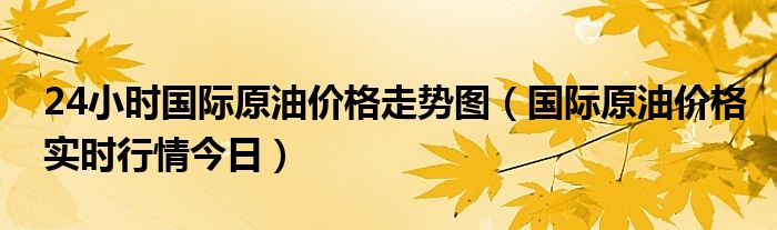 24小时国际原油价格走势图（国际原油价格实时行情今日）