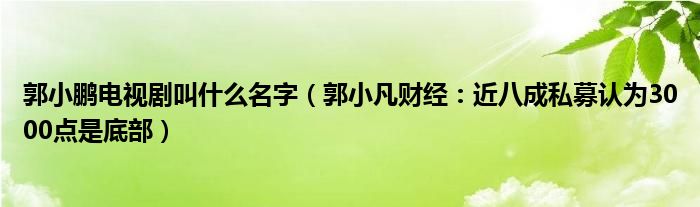 郭小鹏电视剧叫什么名字（郭小凡财经：近八成私募认为3000点是底部）