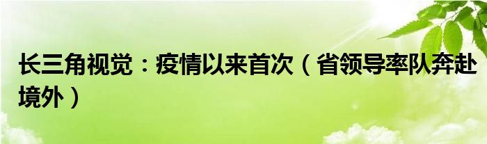 长三角视觉：疫情以来首次（省领导率队奔赴境外）