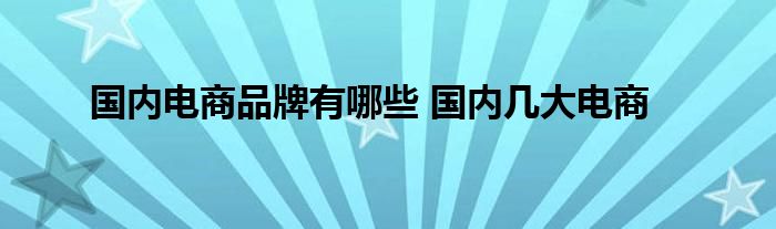 国内电商品牌有哪些 国内几大电商