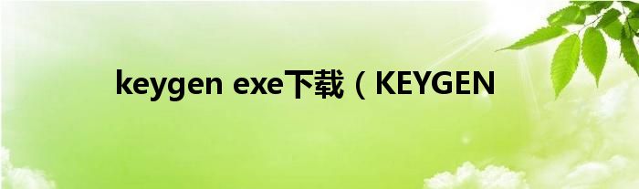 keygen exe下载（KEYGEN