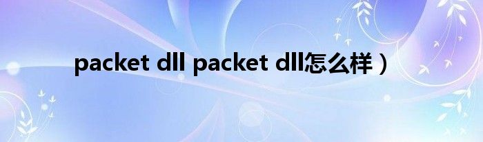 packet dll packet dll怎么样）