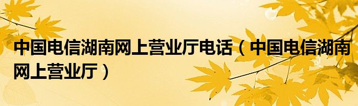 中国电信湖南网上营业厅电话（中国电信湖南网上营业厅）