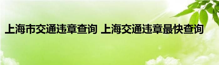 上海市交通违章查询 上海交通违章最快查询