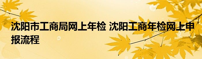 沈阳市工商局网上年检 沈阳工商年检网上申报流程