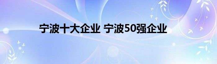 宁波十大企业 宁波50强企业