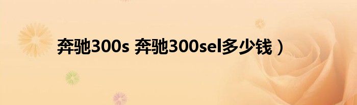 奔驰300s 奔驰300sel多少钱）