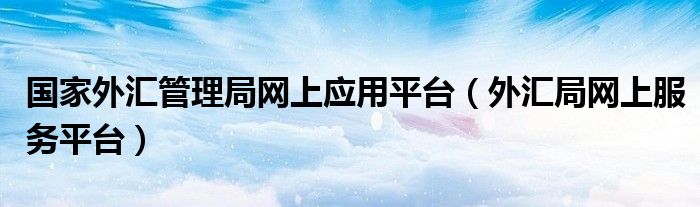 国家外汇管理局网上应用平台（外汇局网上服务平台）