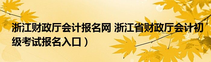 浙江财政厅会计报名网 浙江省财政厅会计初级考试报名入口）