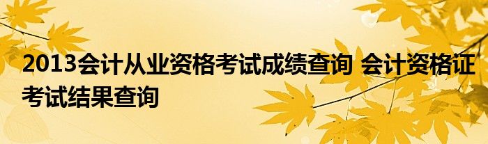 2013会计从业资格考试成绩查询 会计资格证考试结果查询