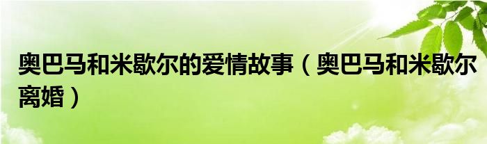 奥巴马和米歇尔的爱情故事（奥巴马和米歇尔离婚）