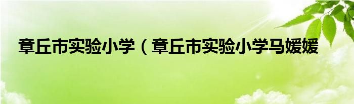 章丘市实验小学（章丘市实验小学马媛媛