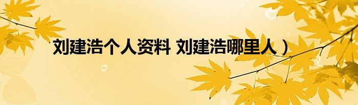 刘建浩个人资料 刘建浩哪里人）