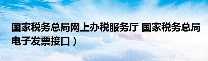 国家税务总局网上办税服务厅 国家税务总局电子发票接口）